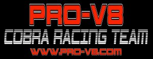 logo cobra racing team